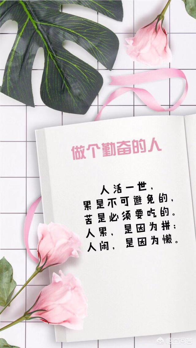 拼多多无货源开店还能赚钱吗？