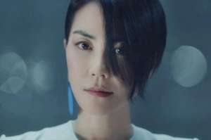 王菲李亚鹏为什么离婚，各种原因众说纷纭